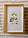A is for Acorn