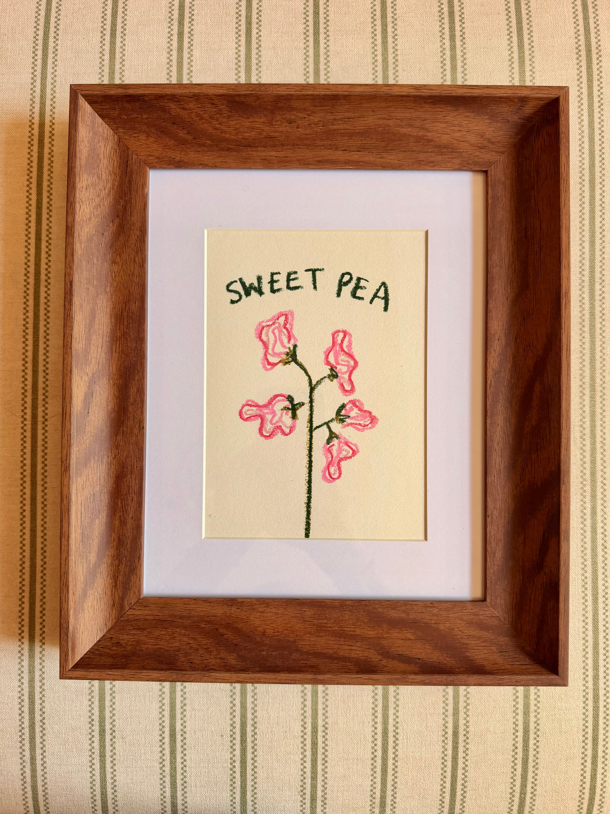 Sweet pea